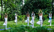 关于养生的句子