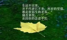 感悟生命的经典句子