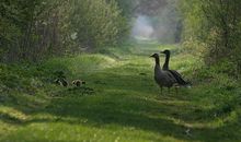 老姐妹俩亲情的句子