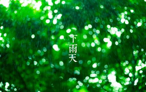 多雨的报价