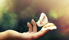 人生的坚持，就是学习的坚持