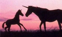 形容很在意亲情的句子