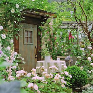 形容很在意亲情的句子 2