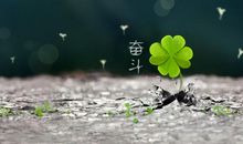 积极阳光的个性签名