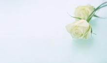 带有书名的描写亲情的句子