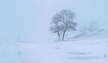 有关开心旅途心境开阔的句子 开心旅途的心情短句