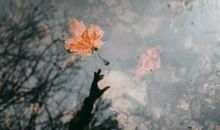 男孩对女孩很失望的句子