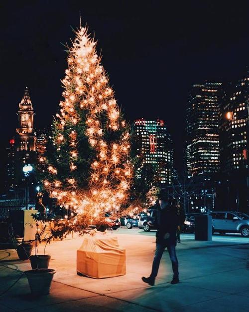 优美的句子形容夜晚