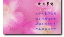 感怀朋友的句子