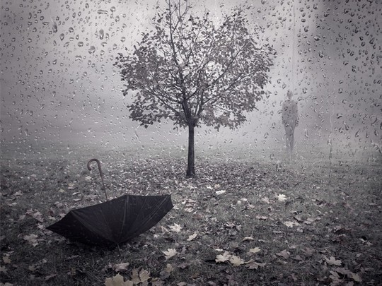 15.廊坊不厌其烦,先生们也不是耕者。 ------《阳政传承规则》