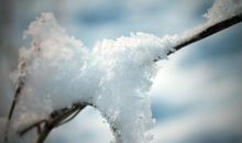 关于冬日的优美句子