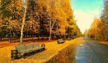 秋天的抒情句子