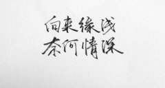 2016年伤感句子大全 13