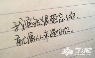 关于欺骗的经典句子