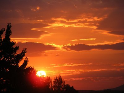 给客户发问候短信 2