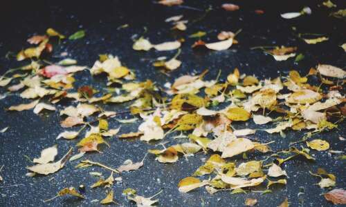 下雨天的搞笑心情说说 一直下雨的经典幽默说说短语 2