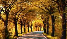 路很长的句子励志