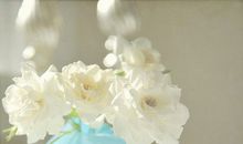 心情平静的个性签名