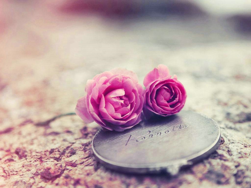 关于爱情的审美句子