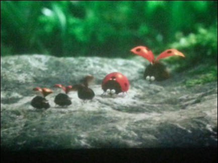 有关亲情的唯美的句子