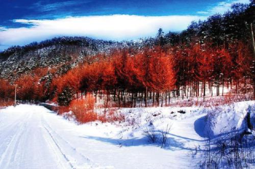 关于雪景的句子