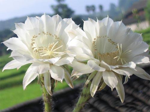 亲情温暖人心的句子大全 1