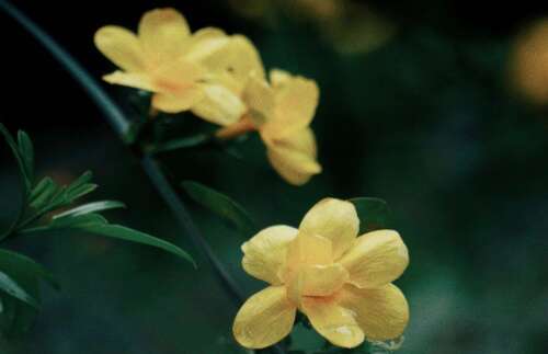 下雨天的搞笑心情说说 一直下雨的经典幽默说说短语 1