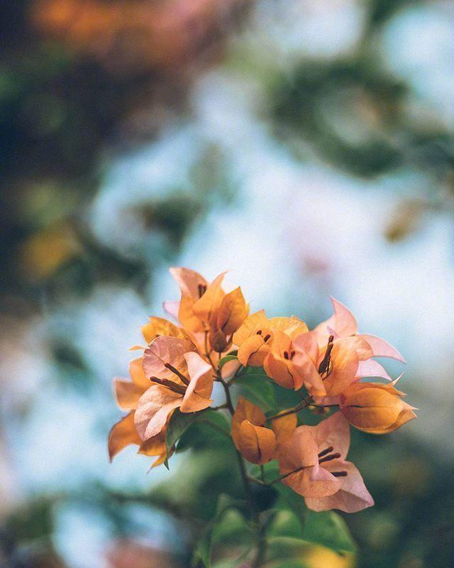 对亲人表示失望的句子1