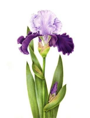 对亲人表示失望的句子