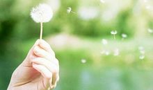 短暂的人生，经不起蹉跎