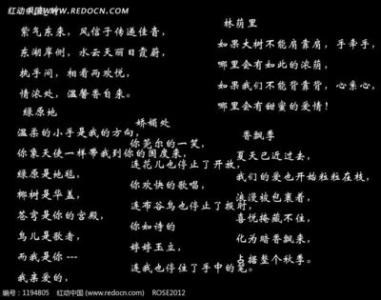 沉从文的经典语录