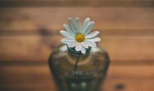 亲情化服务激励句子