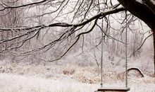 哪怕是前方布满了风霜，我们也要一路高歌乘风破浪