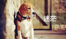 在看不到意义的时候寻求人生的意义