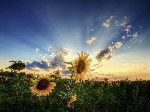 交叉2中的正能量简短句子