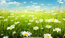 受伤了父母关心我亲情句子