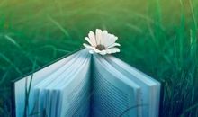 形容甜蜜爱情的句子