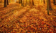 天气多变的问候短信