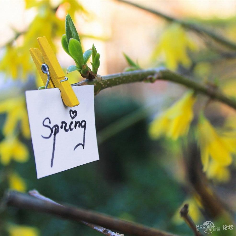 夏天问候客户短信 1