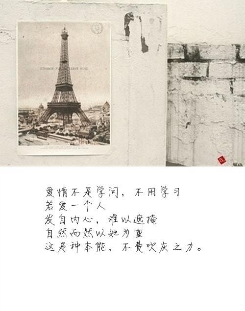 宜舒经典爱情语录