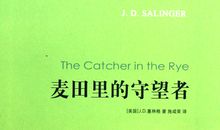 麦田里的守望者名句