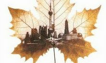 关于知识的人生感悟句子