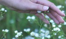 因为我们是一亲情的句子