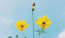 男朋友说你开心我就开心的句子