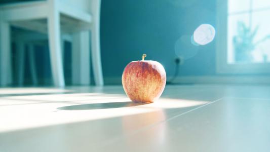 11.让我们快乐地走在一起,不带任何遗憾