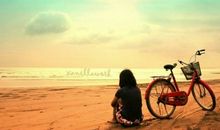 2015年经典句子摘秒