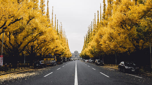 感情和亲情的区别句子