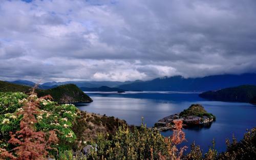 感情和亲情的区别句子 1