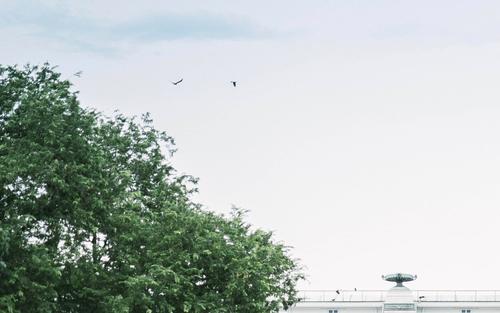 12.在爱情的路上，俄罗斯总是走来走去，她的母亲说俄罗斯的腿和脚不好。