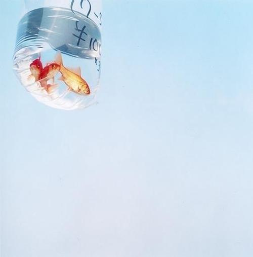 爱情开心的句子说说心情 1